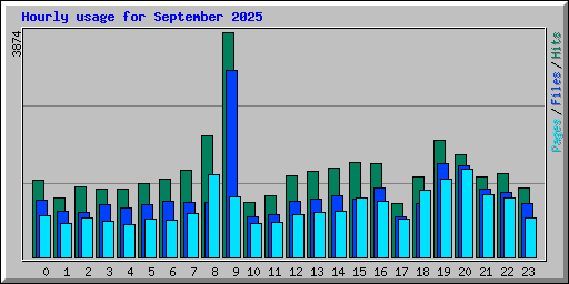 Hourly usage for September 2025